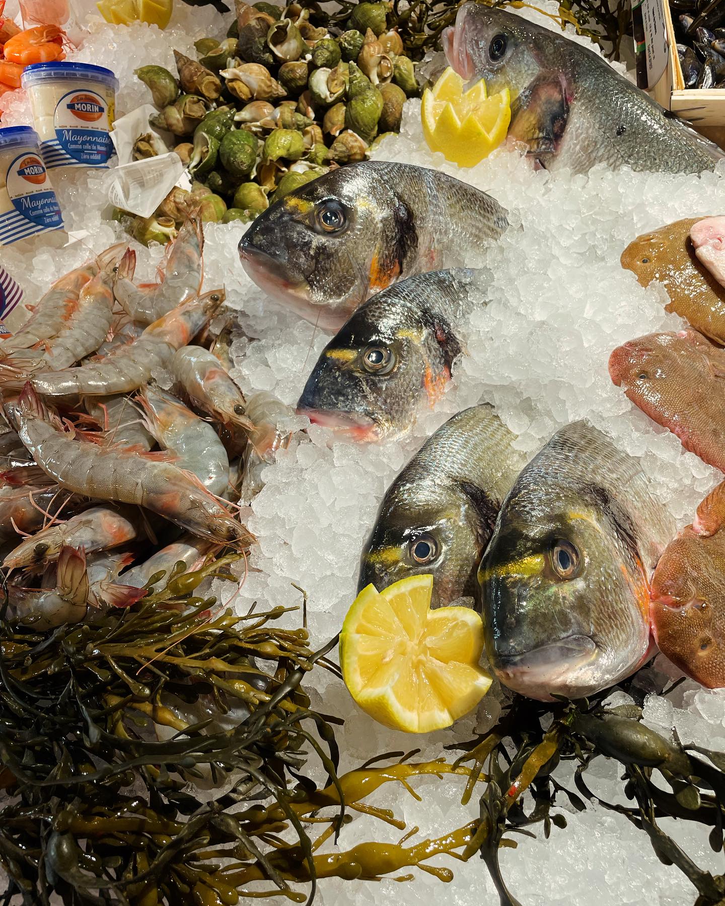 Poissons frais
